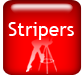 Stripers :: Sex on Spain